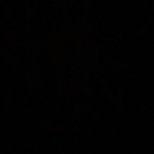 Meet your Posher, Layla